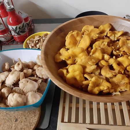 Gite Le Petit Nice Pradelles 외부 사진