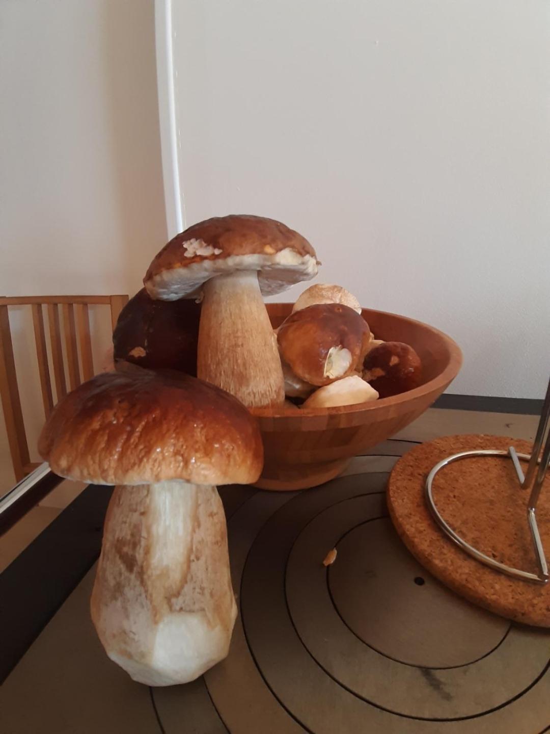 Gite Le Petit Nice Pradelles 외부 사진